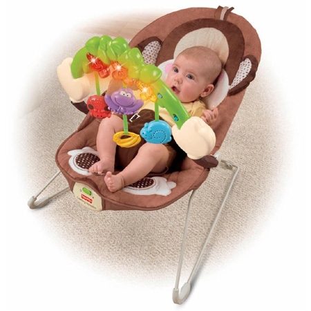 ghe-rung-fisher-price-khi-con-w9458