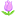 🌷