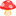 🍄