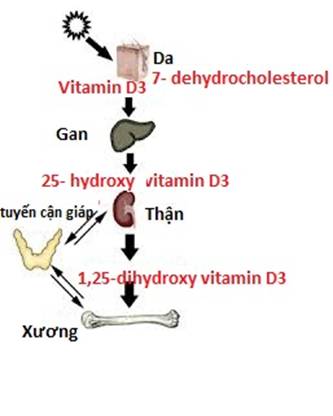 C�ch ngăn ngừa mồ h�i trộm ở trẻ
